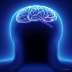 UAE market entry for foreign contractors (50 page report)